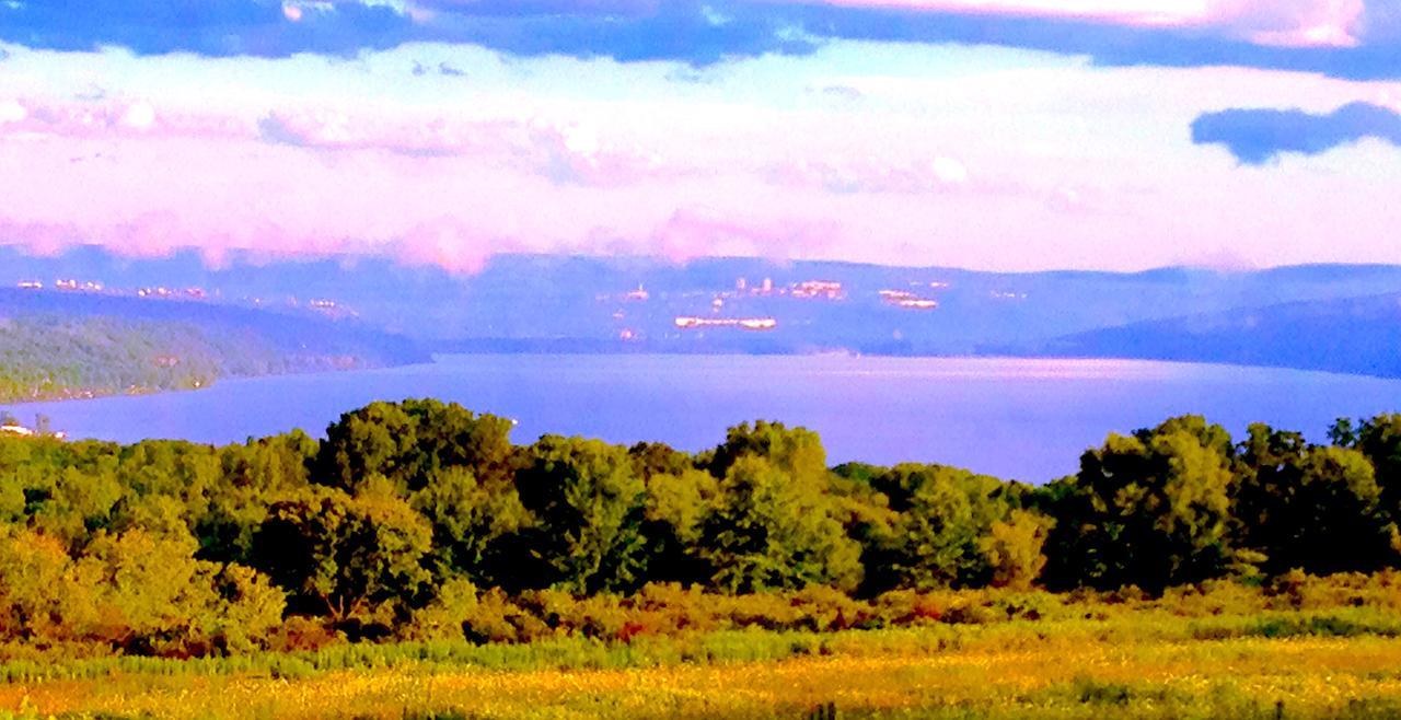 A Cayuga Lakefront Inn - Hotel Alt, Ithaca New York Eksteriør billede